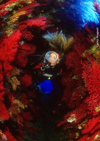PADI Discover Scuba Diving – Bautizo de Buceo en Tenerife